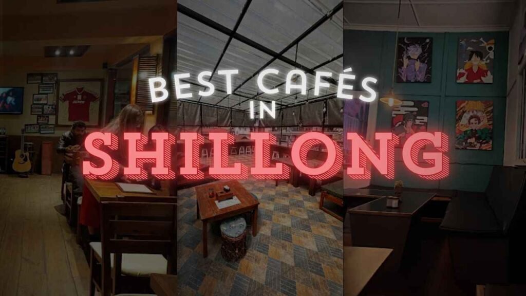 Best Cafés in Shillong