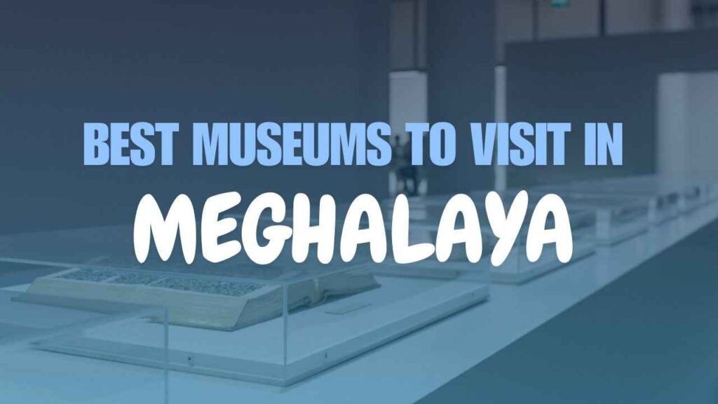 Best Museums to Visit in Meghalaya in 2025