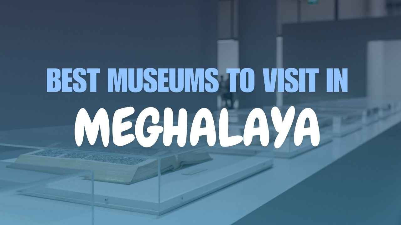 Best Museums to Visit in Meghalaya in 2025