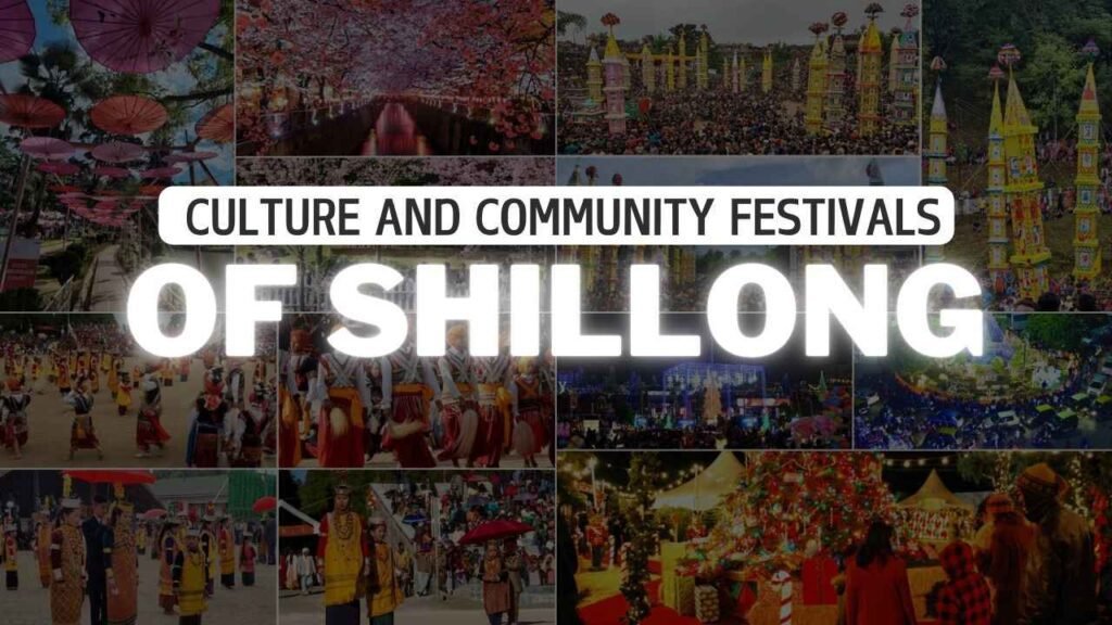 Culture and Community Festivals