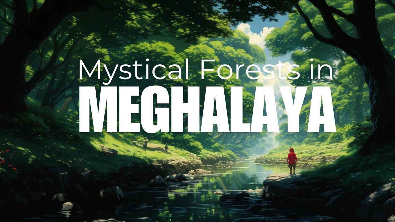 Sacred Forests in Meghalaya