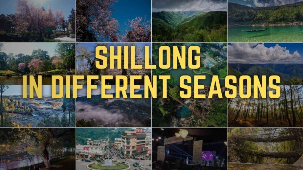 Shillong in Different Seasons