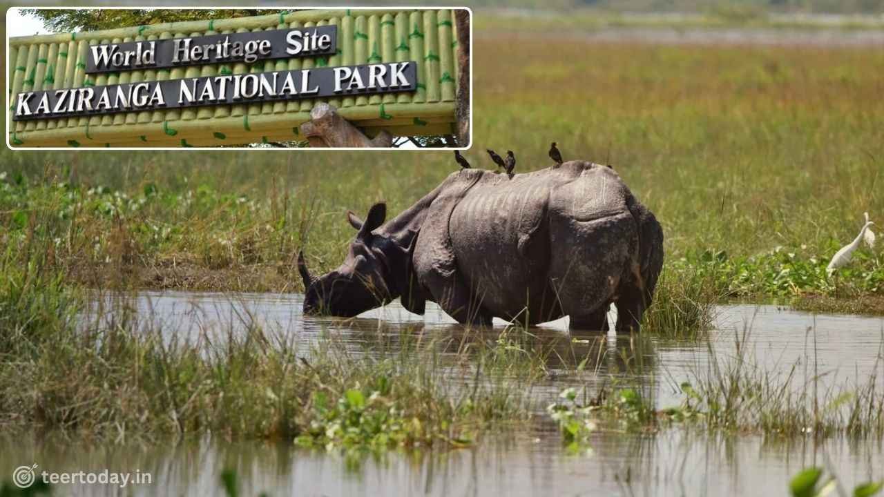 Kaziranga National Park