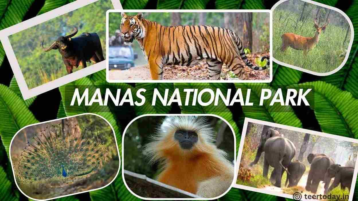 Manas National Park