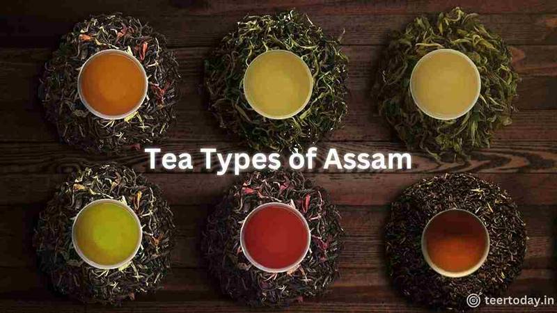 Types of Tea Produce in Assam