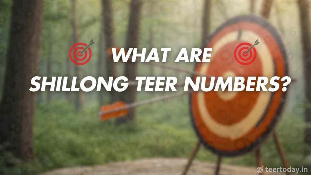 What are Shillong Teer Numbers