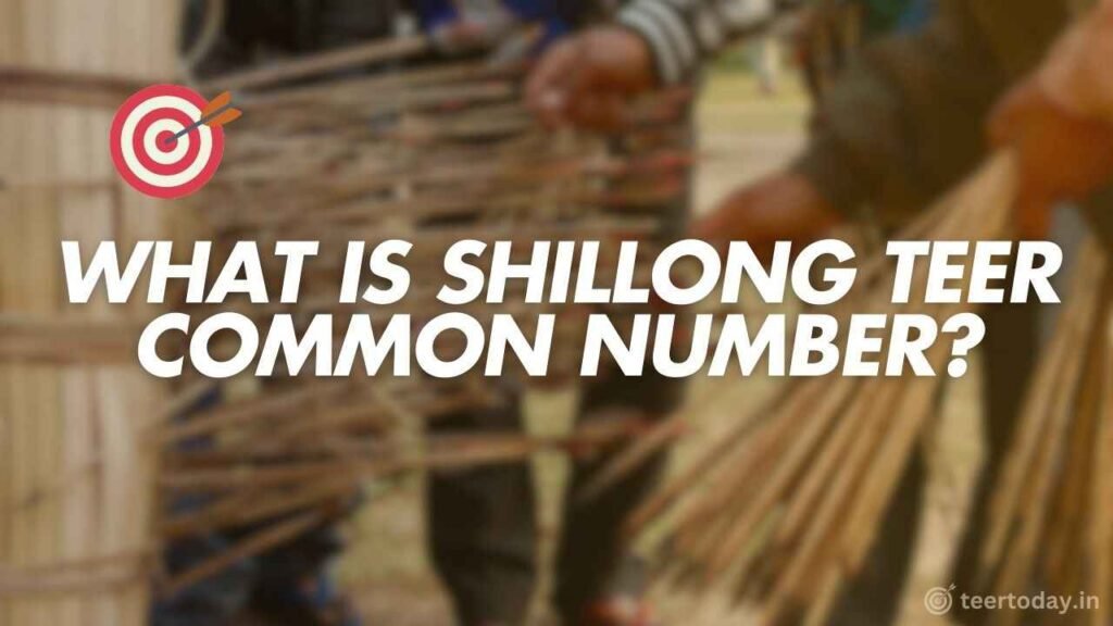 What is Shillong Teer Common Number?